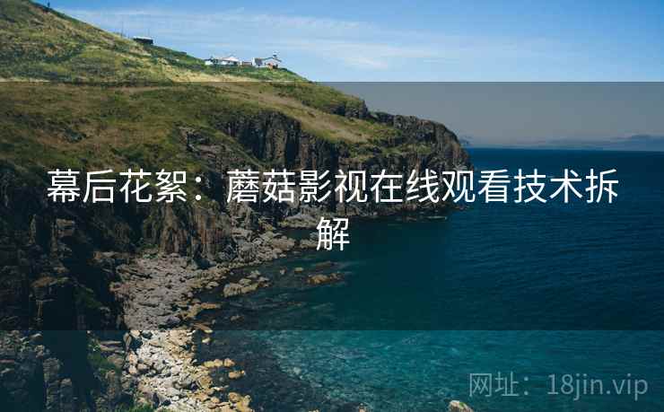 幕后花絮：蘑菇影视在线观看技术拆解