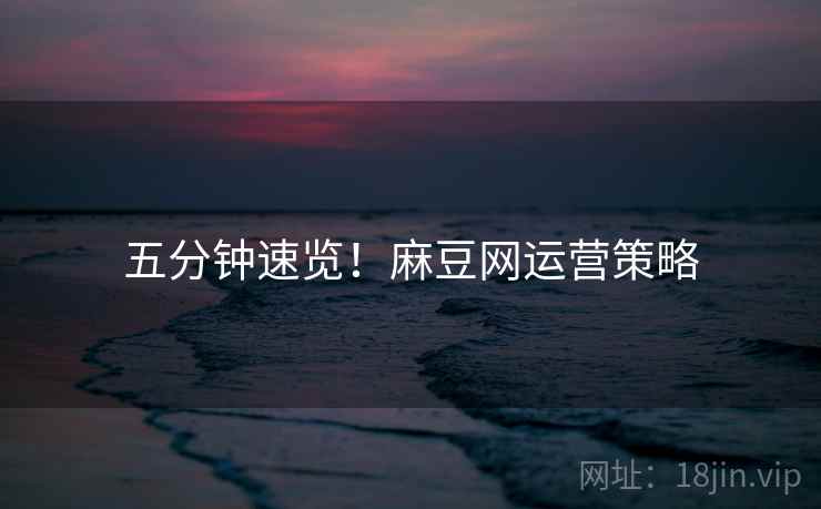 五分钟速览！麻豆网运营策略