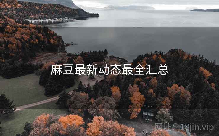 麻豆最新动态最全汇总