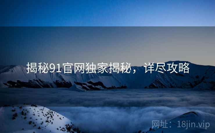 揭秘91官网独家揭秘，详尽攻略