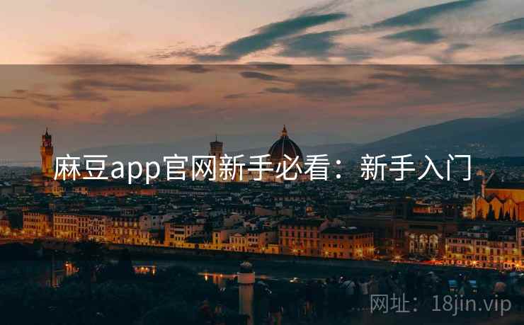 麻豆app官网新手必看：新手入门