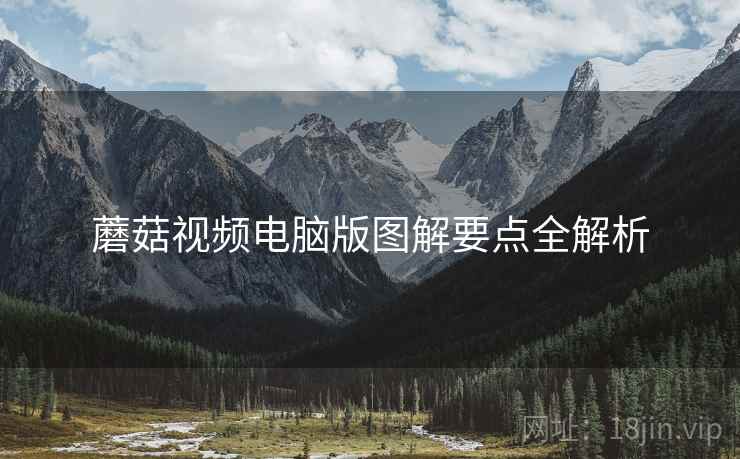 蘑菇视频电脑版图解要点全解析