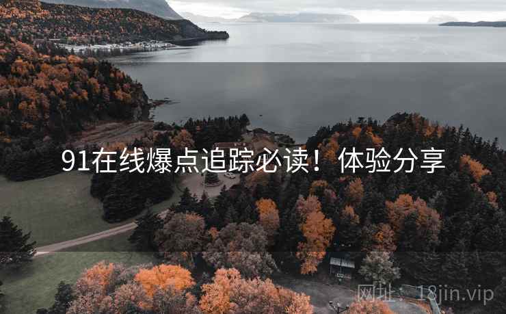 91在线爆点追踪必读！体验分享