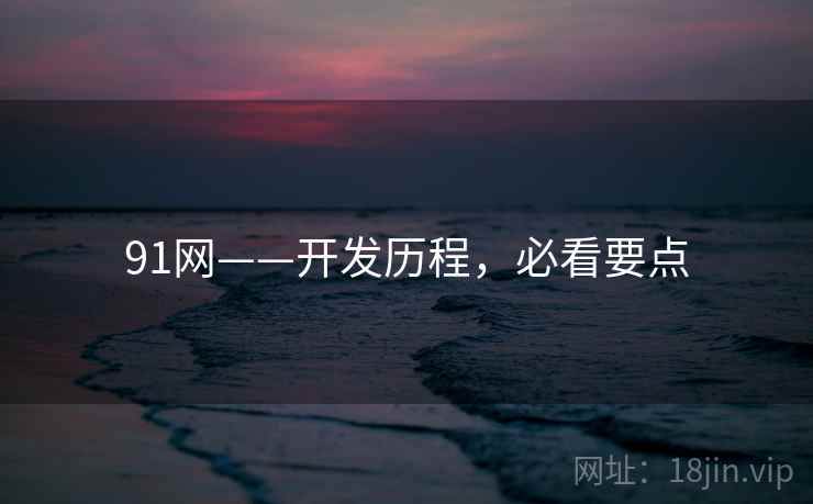 91网——开发历程，必看要点