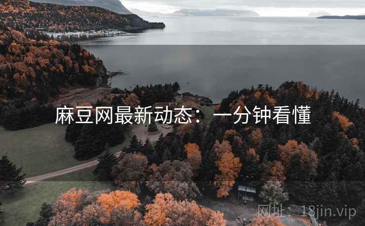 麻豆网最新动态：一分钟看懂